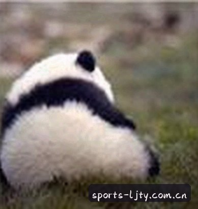 吴佳琪